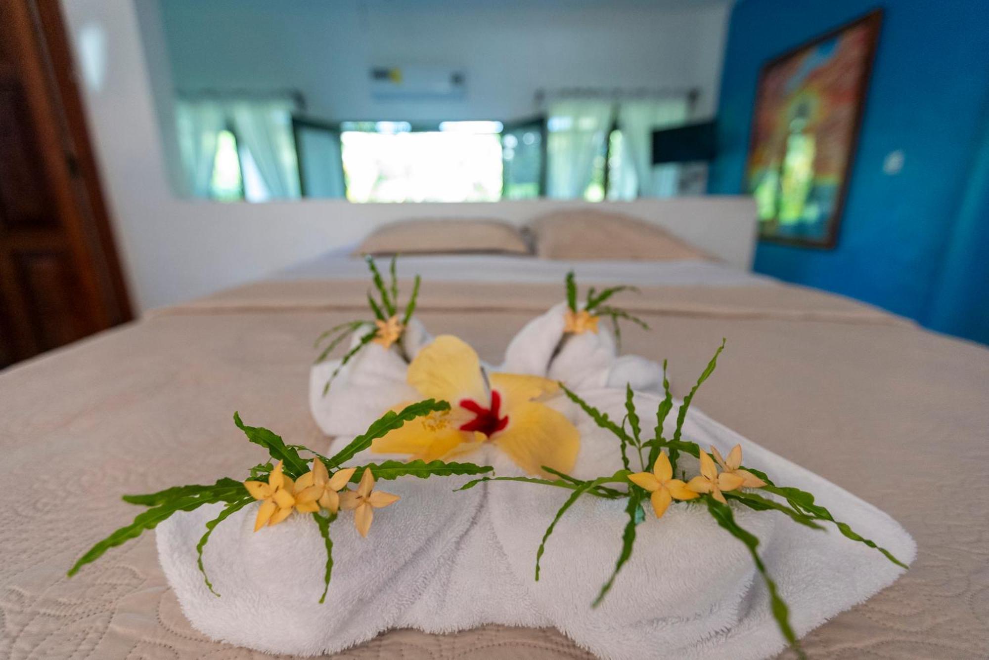 Aparthotel Condiminium Mymosa Nationalpark Manuel Antonio
